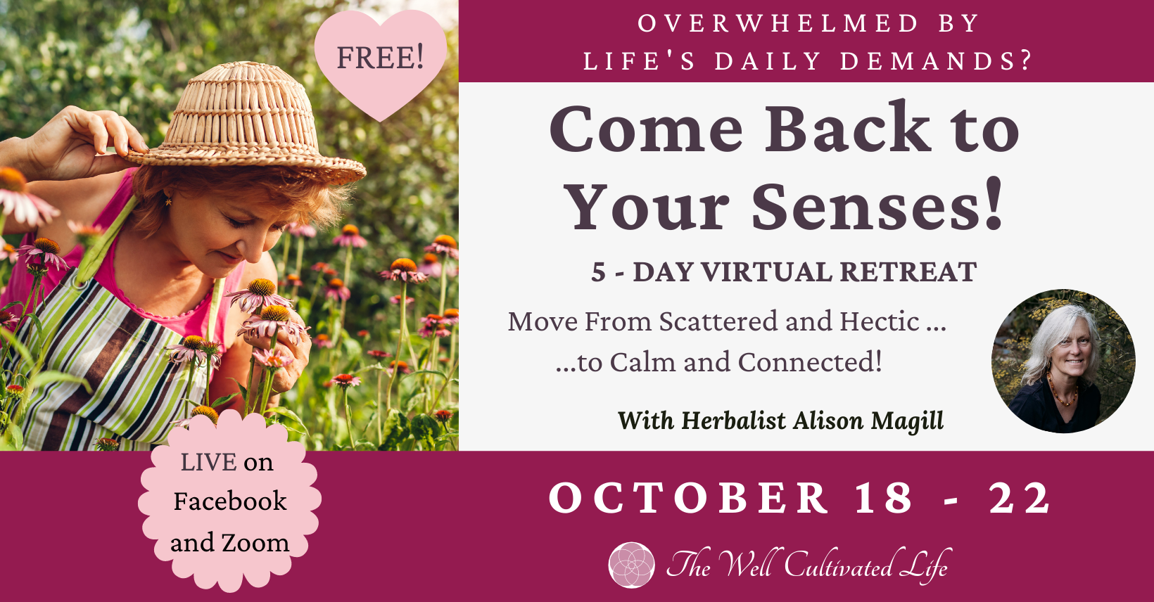 Come Back To Your Senses come-back-to-your-senses